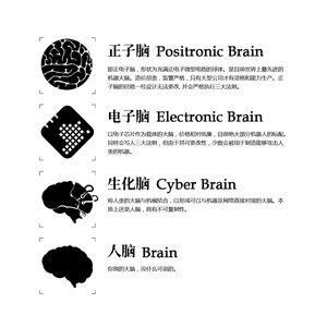 设定-大脑分类