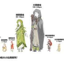 【草履虫勇者】设定集