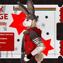 企划：《澳大利亚兔灾》